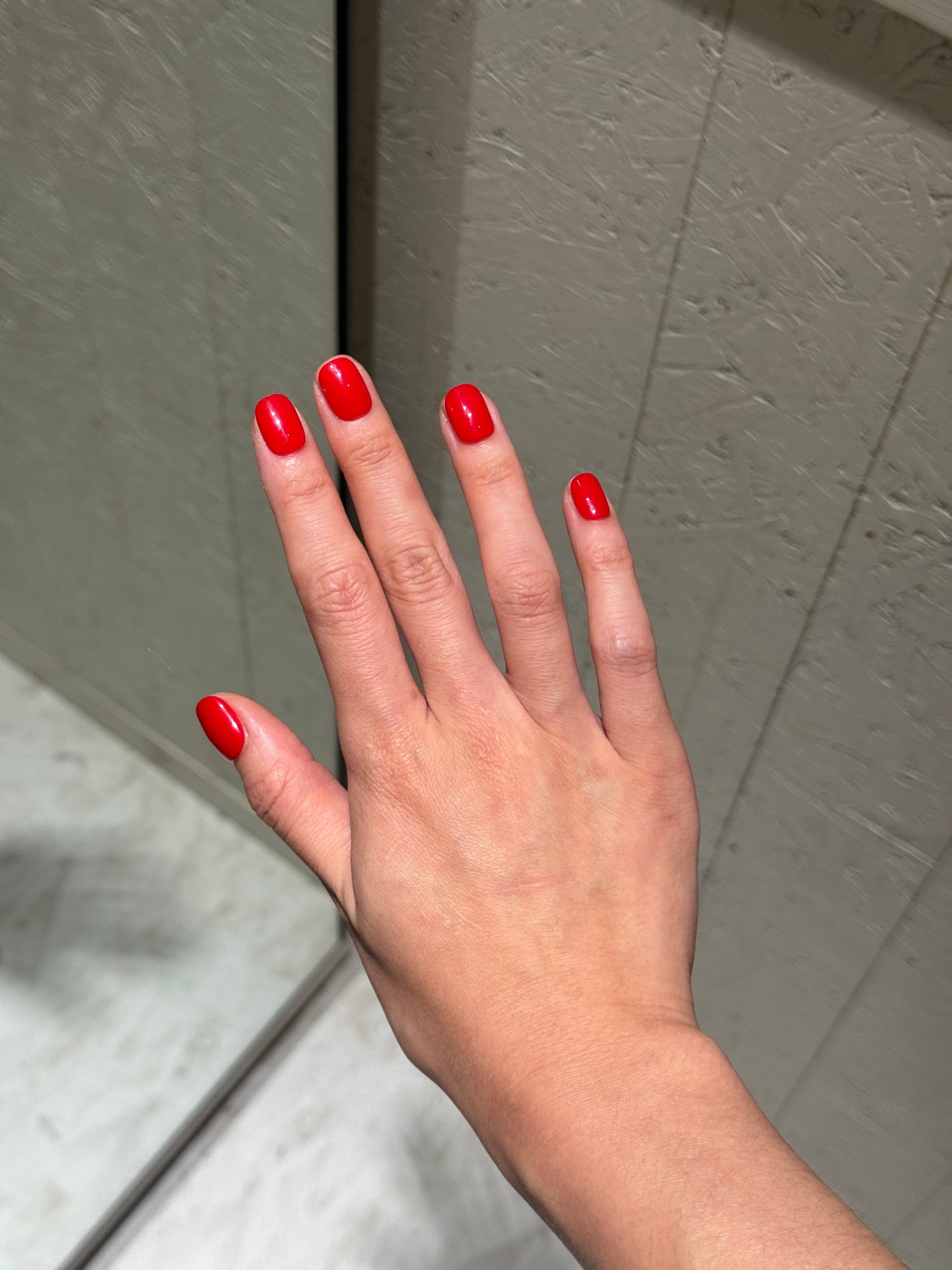 Tomato Short